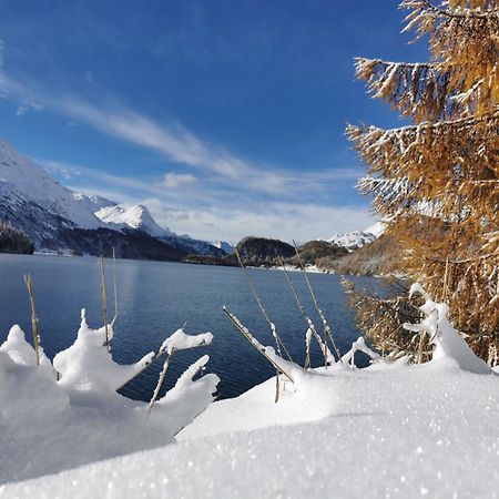 Ferienwohnung Pontresina - Chesa Andrea - Gartensitzplatz Exteriör bild