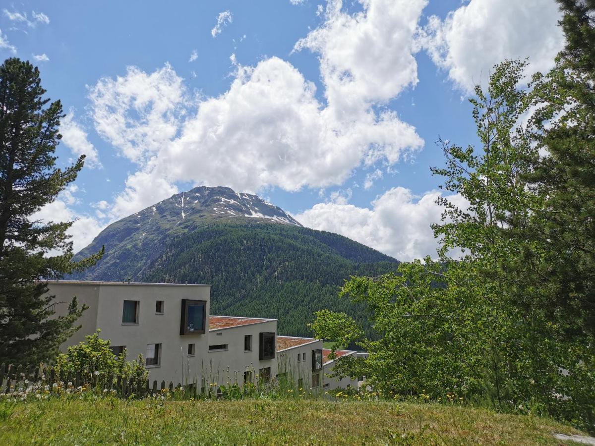 Ferienwohnung Pontresina - Chesa Andrea - Gartensitzplatz Exteriör bild