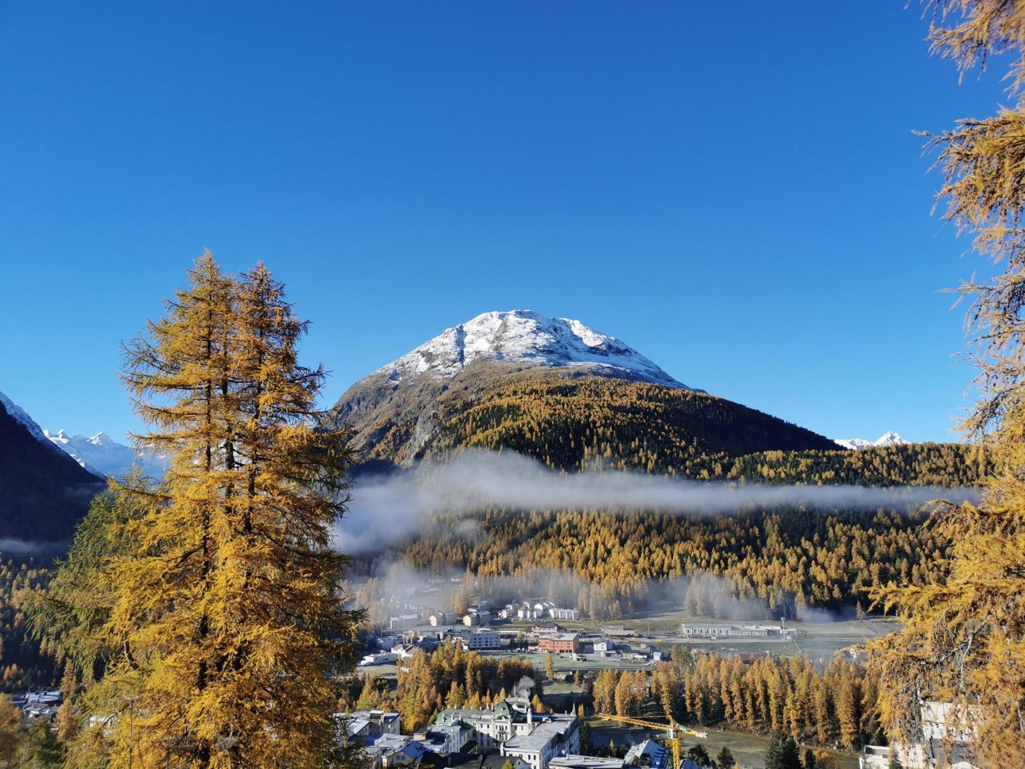 Ferienwohnung Pontresina - Chesa Andrea - Gartensitzplatz Exteriör bild